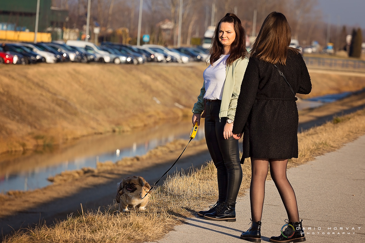Klikom po preloškoj Marini (17.2.2019.)