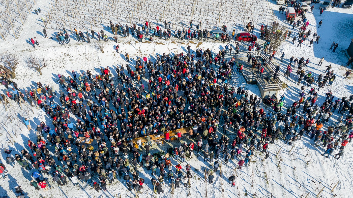 Vincekovo 2024., Štrigova Vincekovo 2024., Štrigova