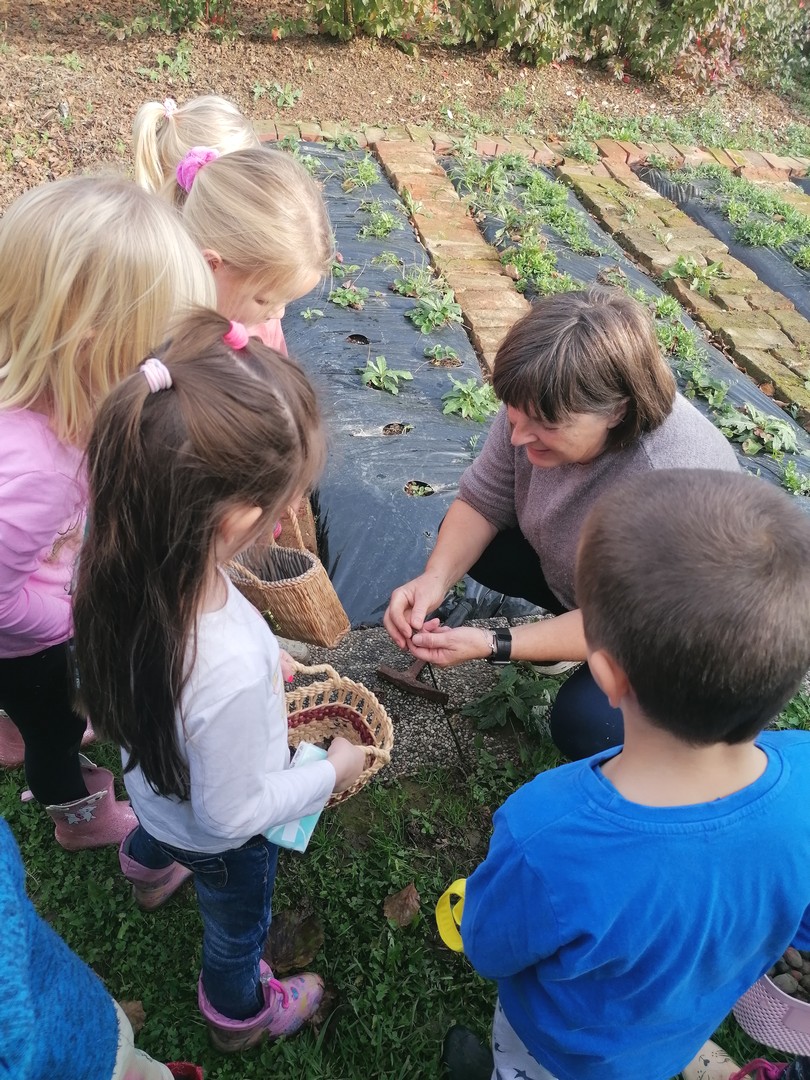‘Suncokreti’ iz čakovečkog vrtića Cvrčak posjetili lješnjikovac obitelji Sarač