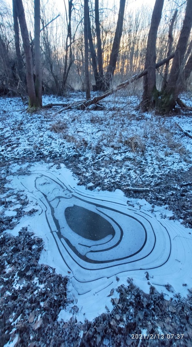 Zvonimir Habuš iz Kotoribe očarava fotografijama netaknute prirode