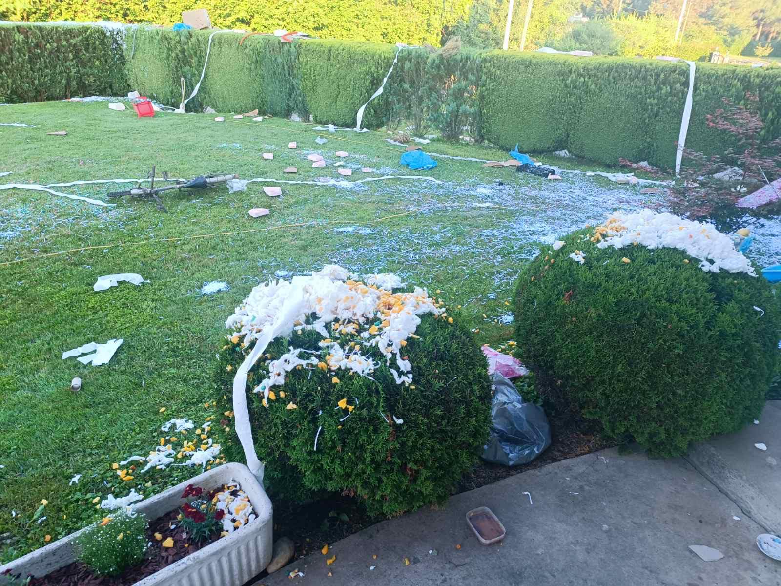 Potepanje za Maju i Matiju