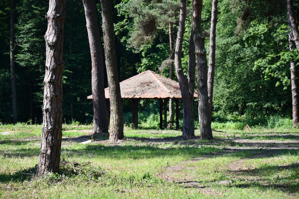 VIDEO I FOTO Na prostoru nekadašnje Međimurske hiže niknut će novi turističko-ugostiteljski kompleks VIDEO I FOTO Na prostoru nekadašnje Međimurske hiže niknut će novi turističko-ugostiteljski kompleks