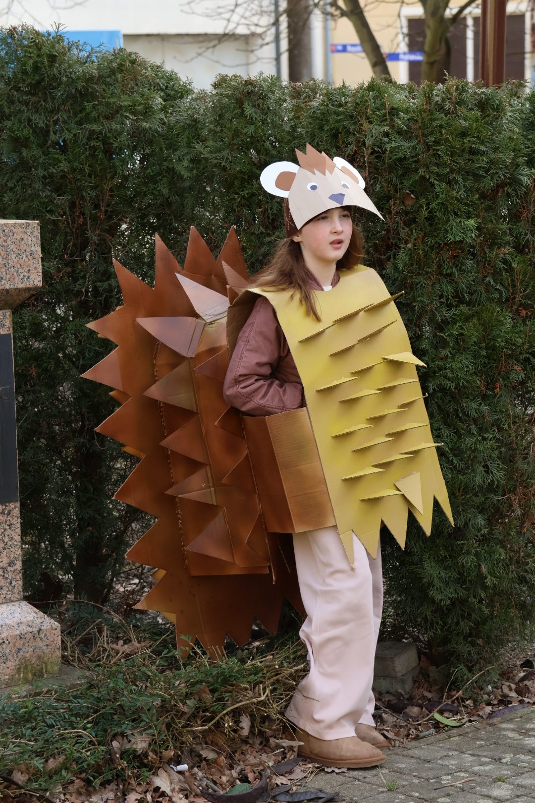 fašenjk Donja Dubrava (6) fašenjk Donja Dubrava (6)