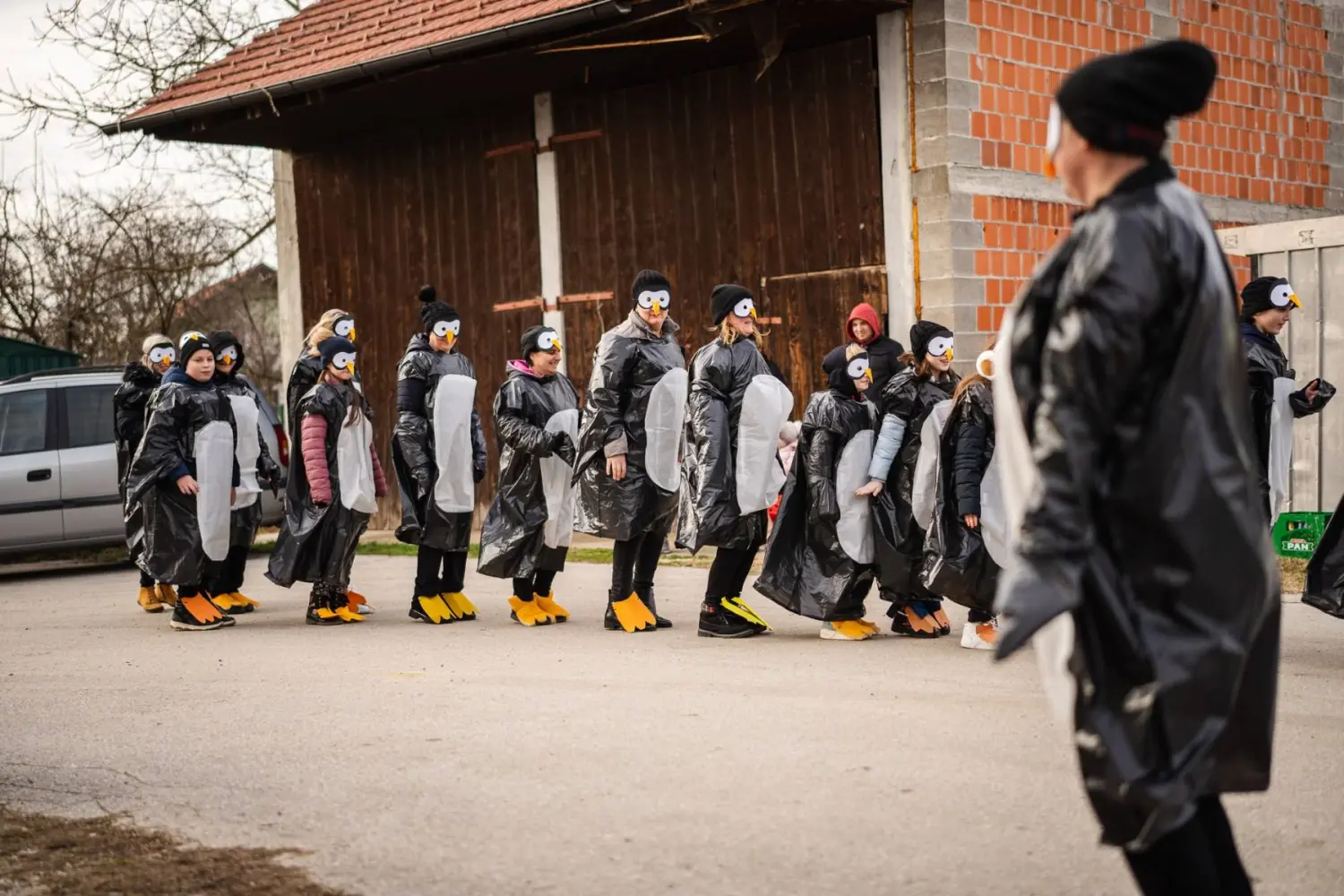 fašnik Donji Vidovec (2) fašnik Donji Vidovec (2)