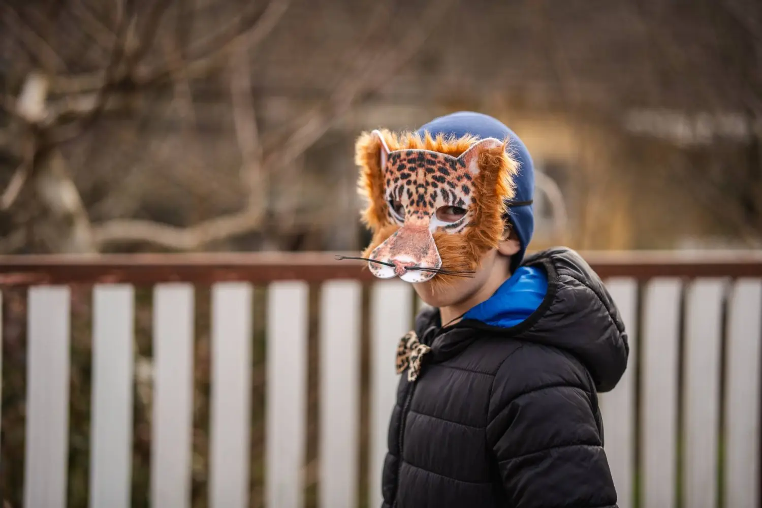 fašnik Donji Vidovec (41) fašnik Donji Vidovec (41)