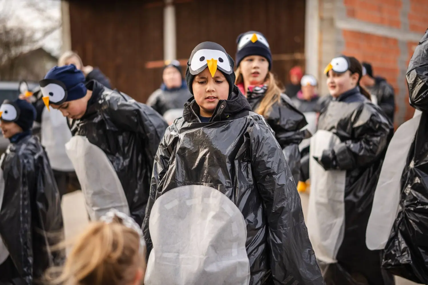 fašnik Donji Vidovec (44) fašnik Donji Vidovec (44)