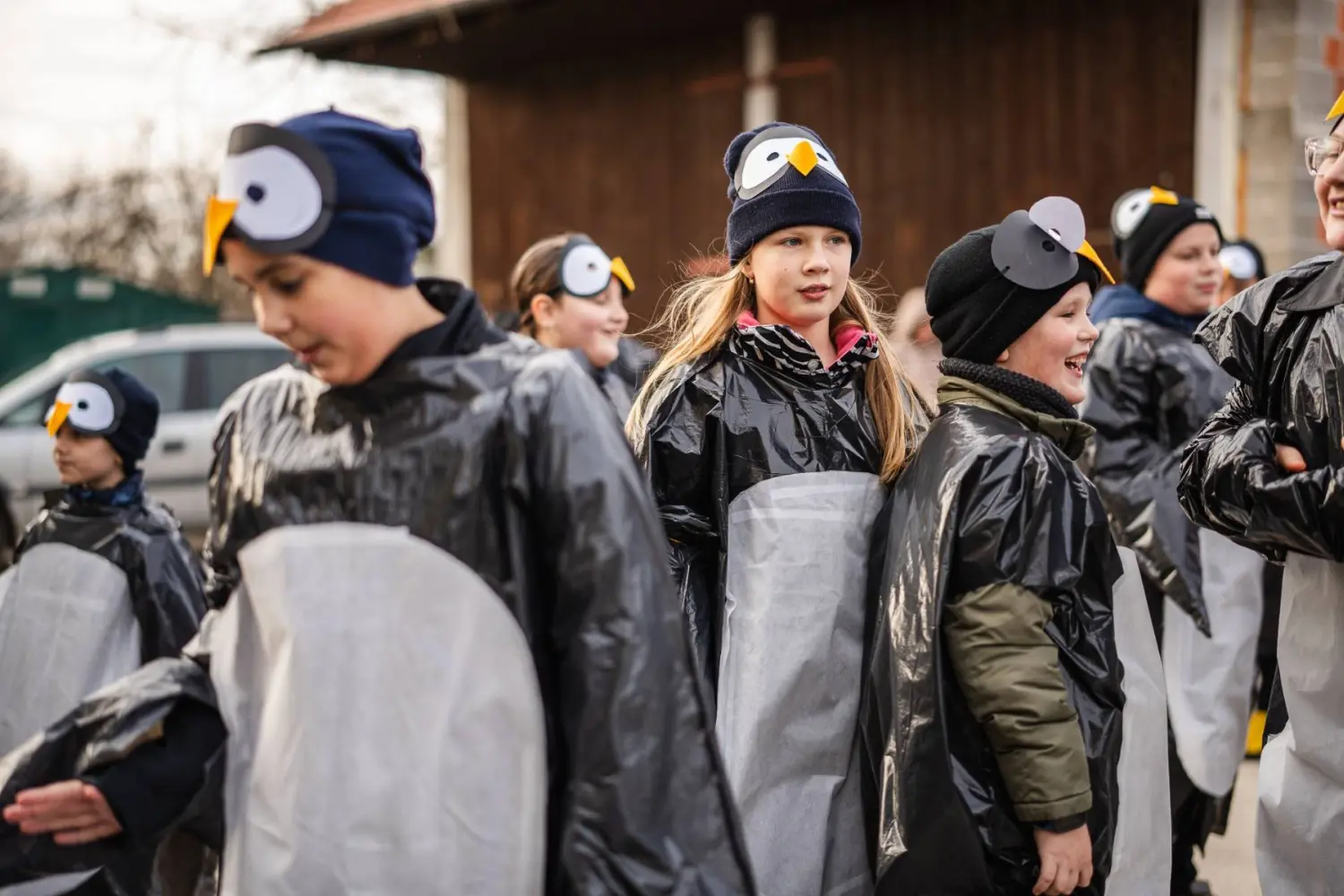 fašnik Donji Vidovec (60) fašnik Donji Vidovec (60)