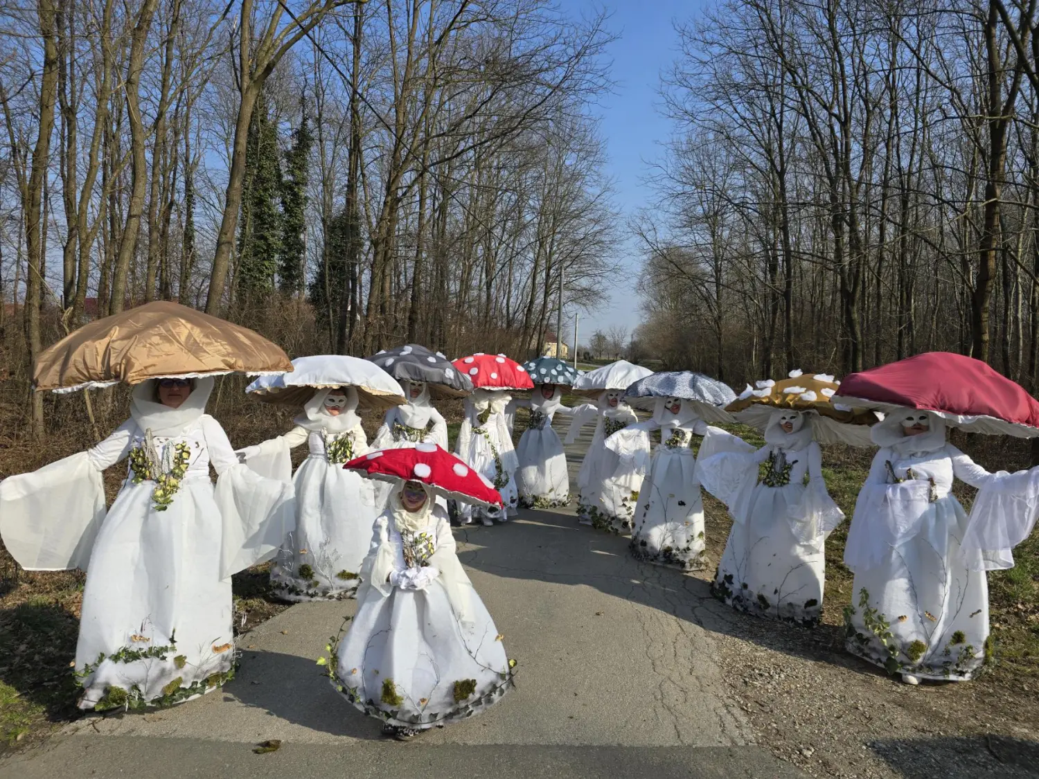 fašnik Hodošan 2025, maškarada, povorka (35)