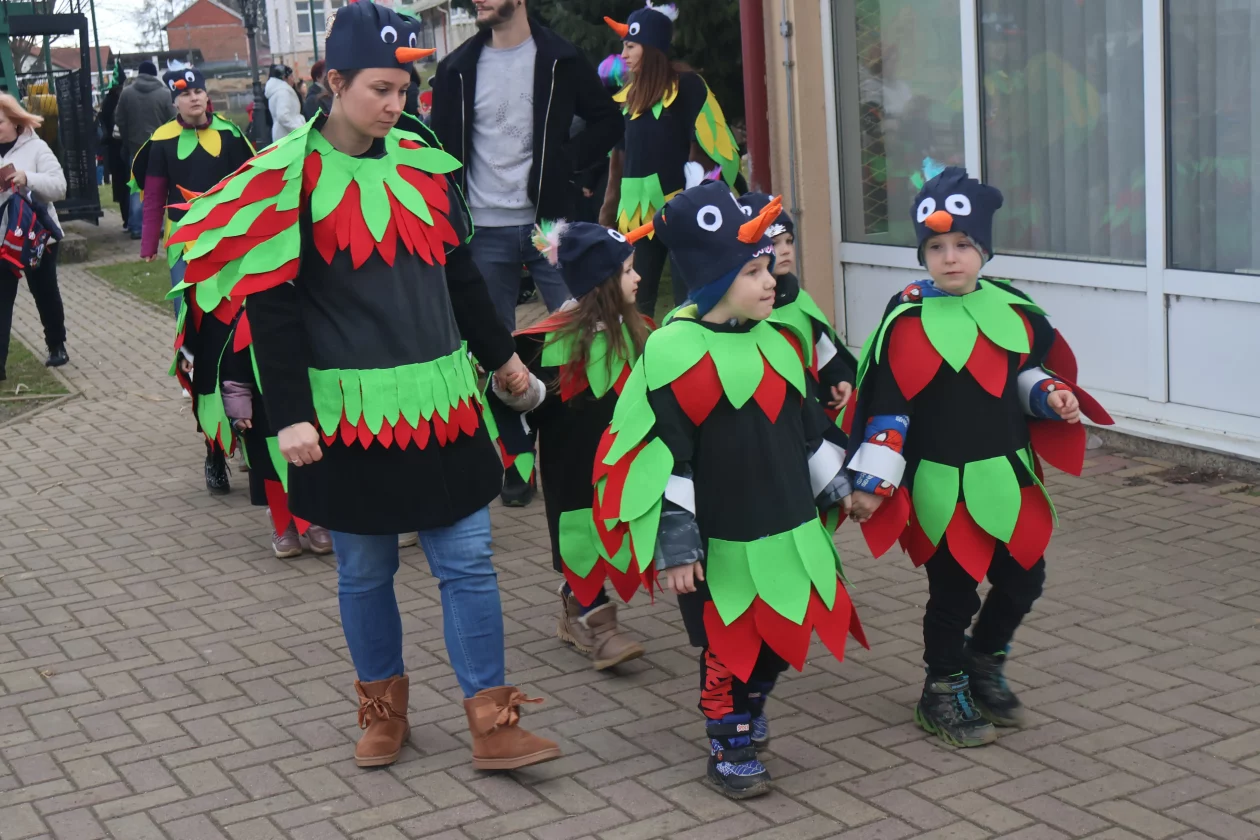 fasnik selnica (22) fasnik selnica (22)