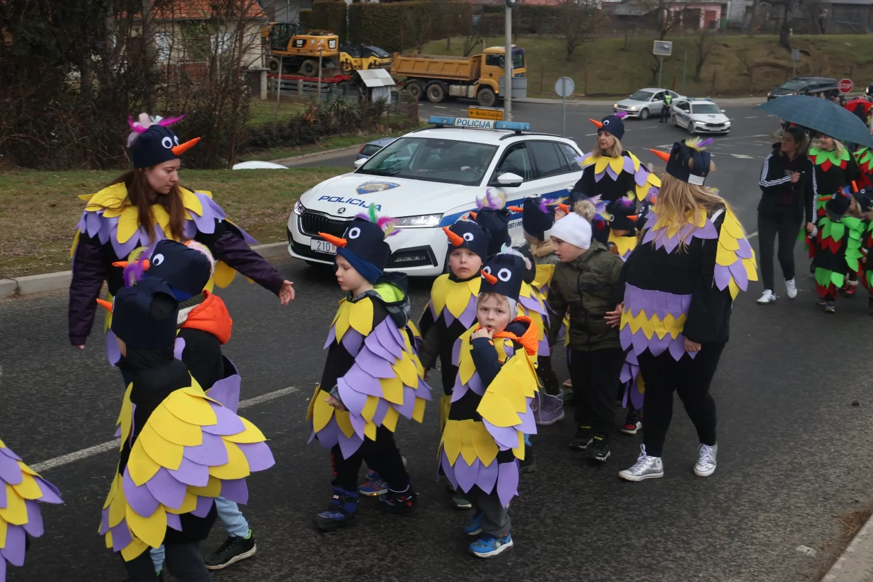 fasnik selnica (30) fasnik selnica (30)