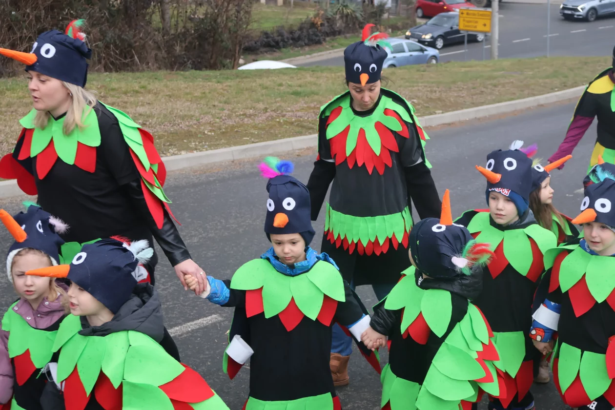 fasnik selnica (33) fasnik selnica (33)