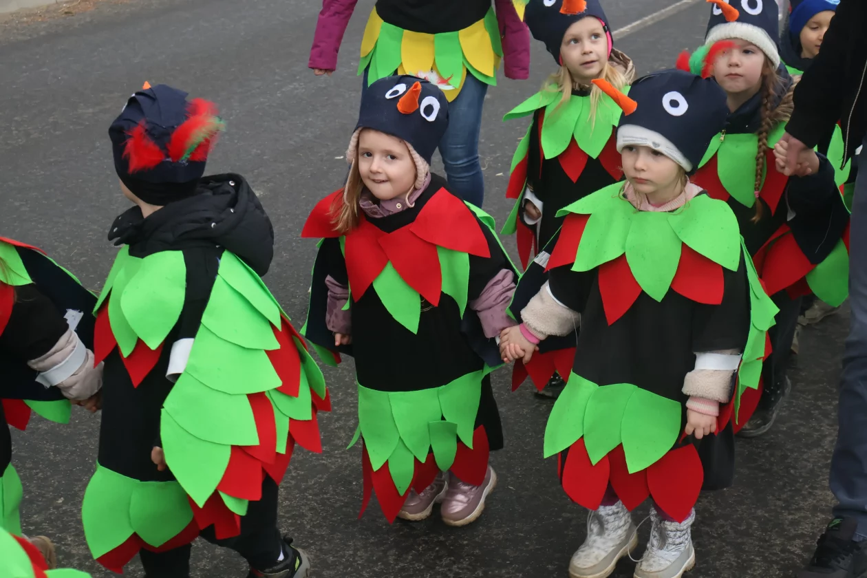 fasnik selnica (35) fasnik selnica (35)