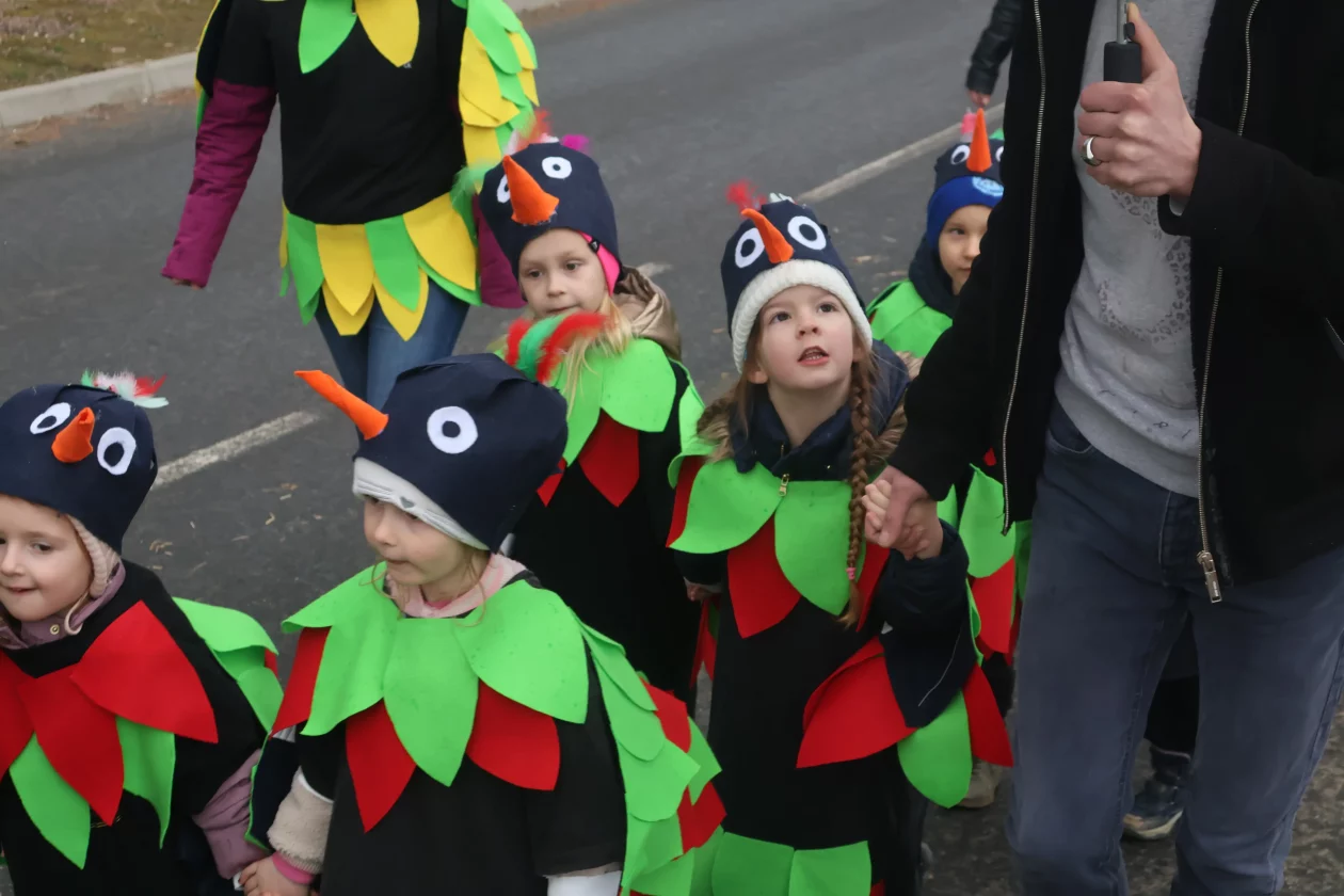 fasnik selnica (36) fasnik selnica (36)