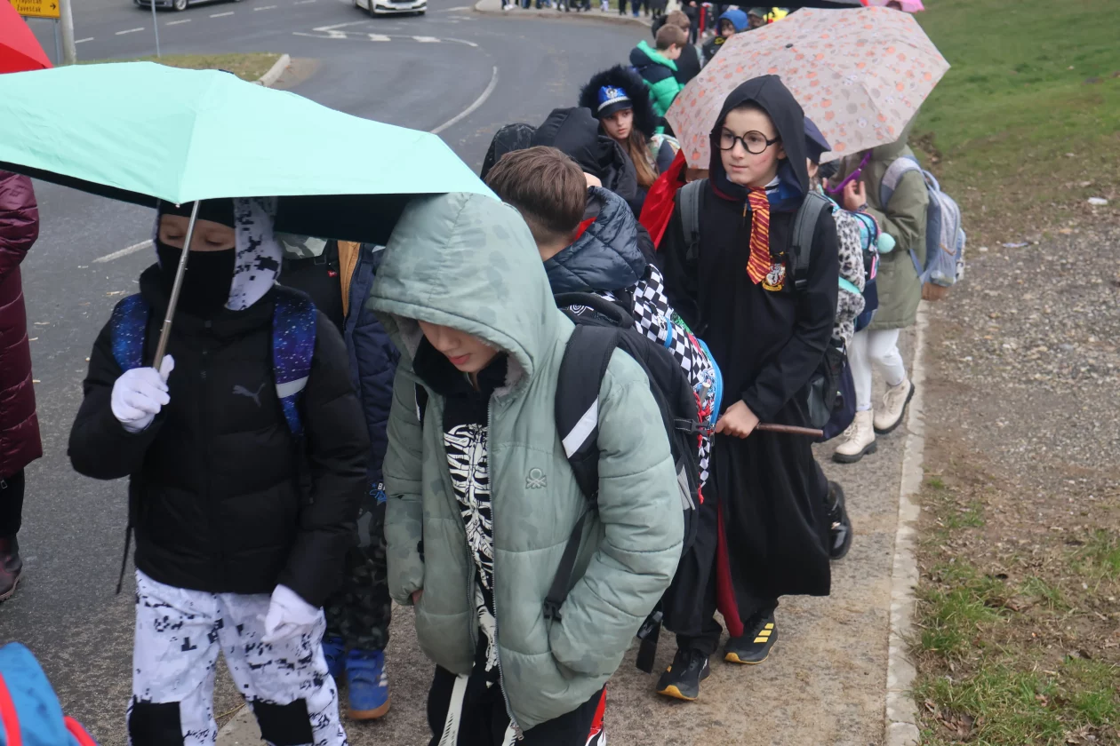 fasnik selnica (41) fasnik selnica (41)