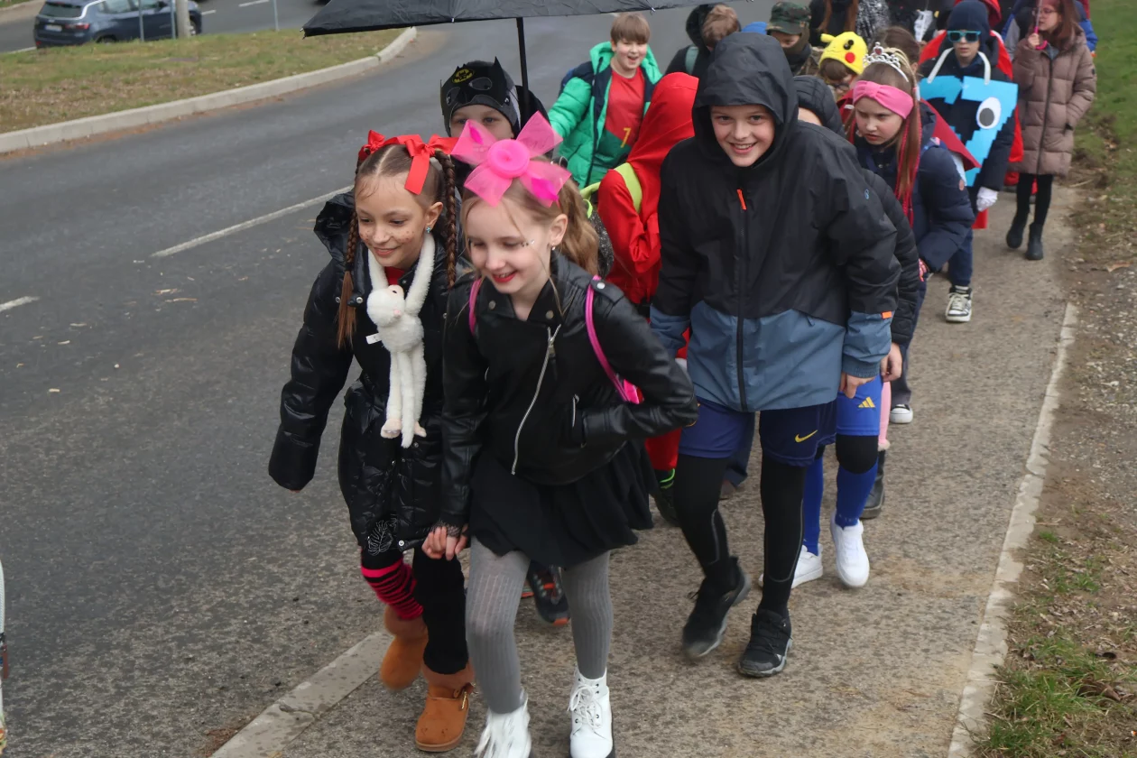 fasnik selnica (42) fasnik selnica (42)