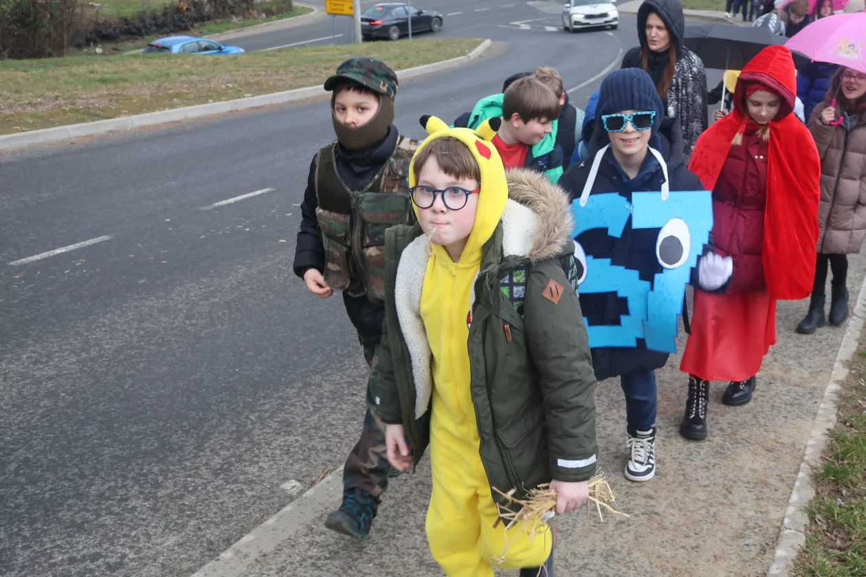 fasnik selnica (43) fasnik selnica (43)