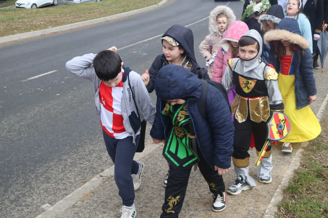 fasnik selnica (49) fasnik selnica (49)