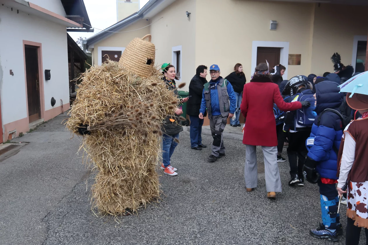 fasnik selnica (64) fasnik selnica (64)