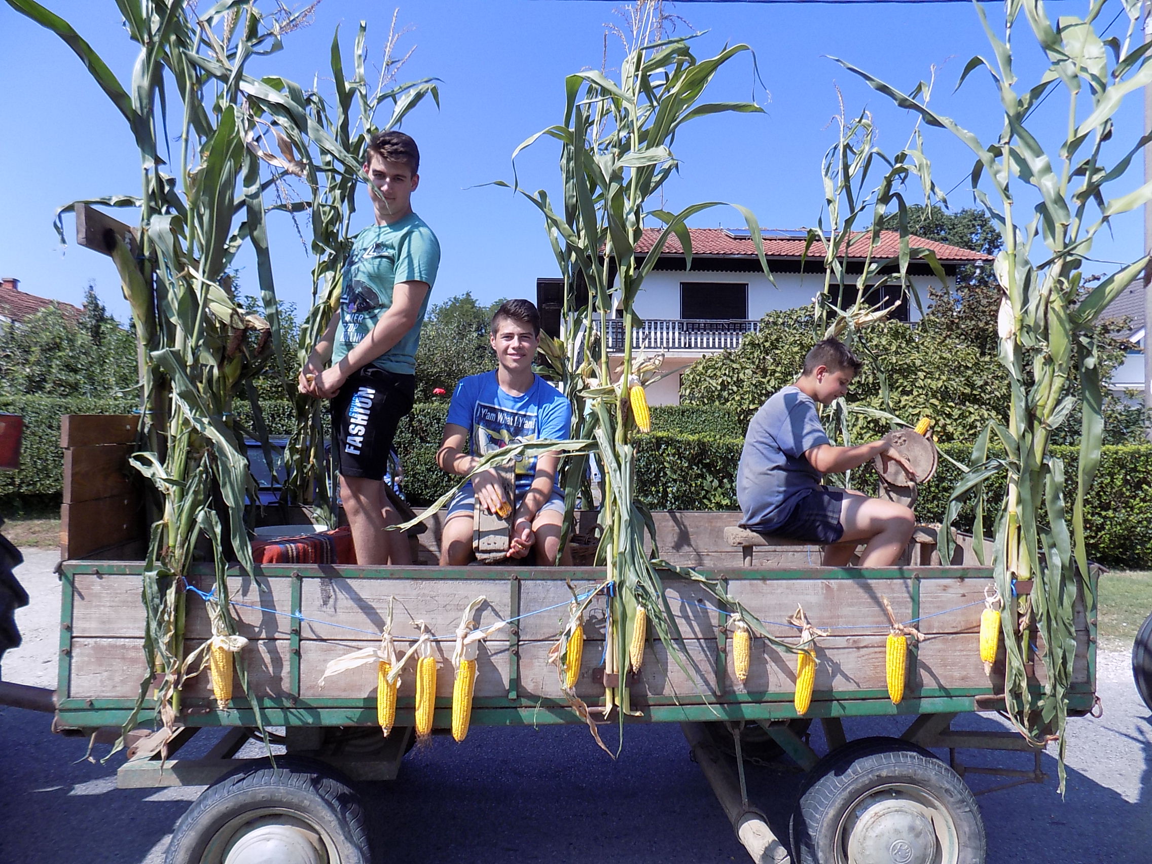 Povorka starih zanata i običaja u Svetom Martinu na Muri