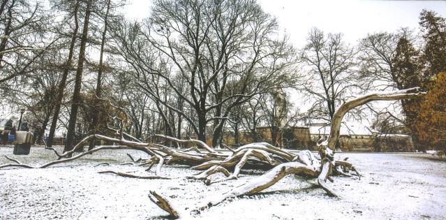 POVODOM BLAGDANA Prigodna prodaja čestitiki za Zakladu ‘Katruža’