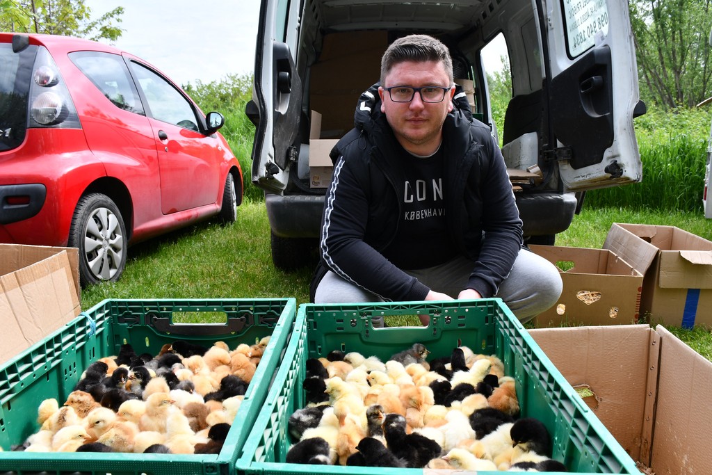 ČAKOVEČKI SAJAM SRIJEDOM Najveći interes i dalje vlada za presadnice