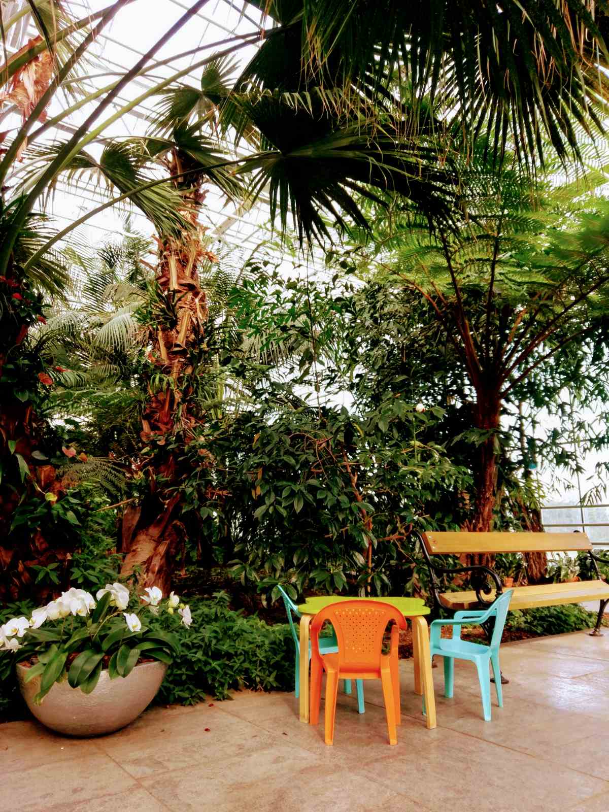 Image 5818389 (auto)