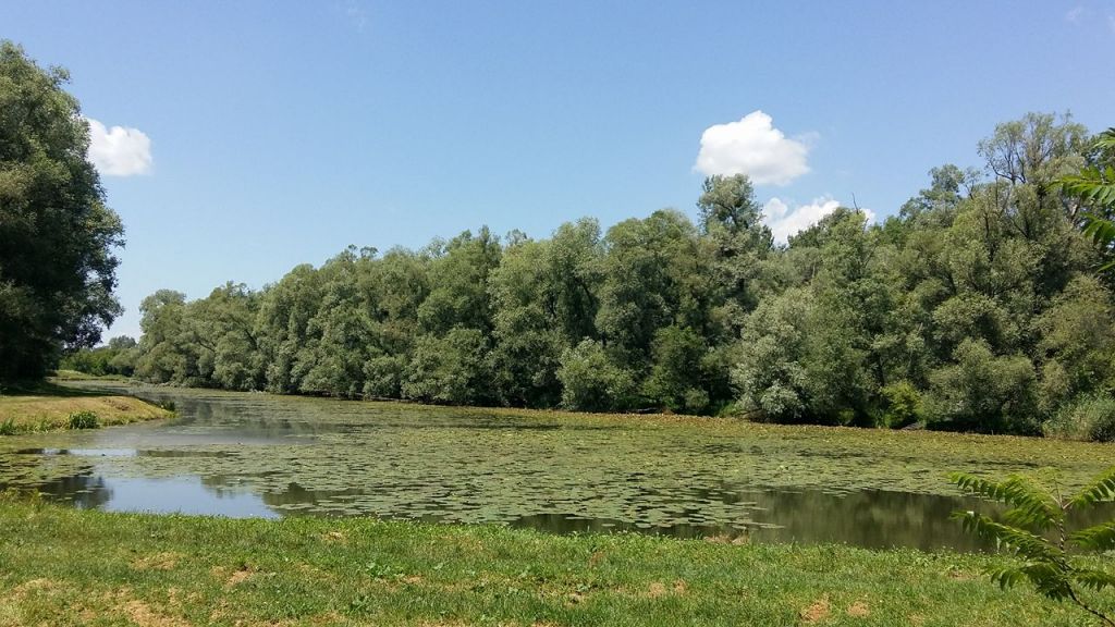 1949631313685237532171311012597