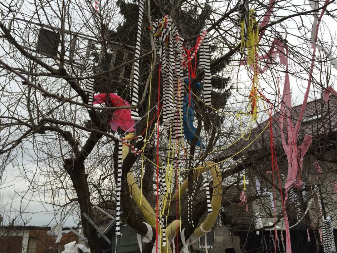 219937fa0e12410896e016ad32662d1