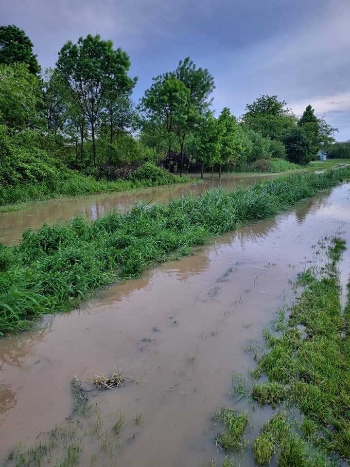 belica borščak izlio se