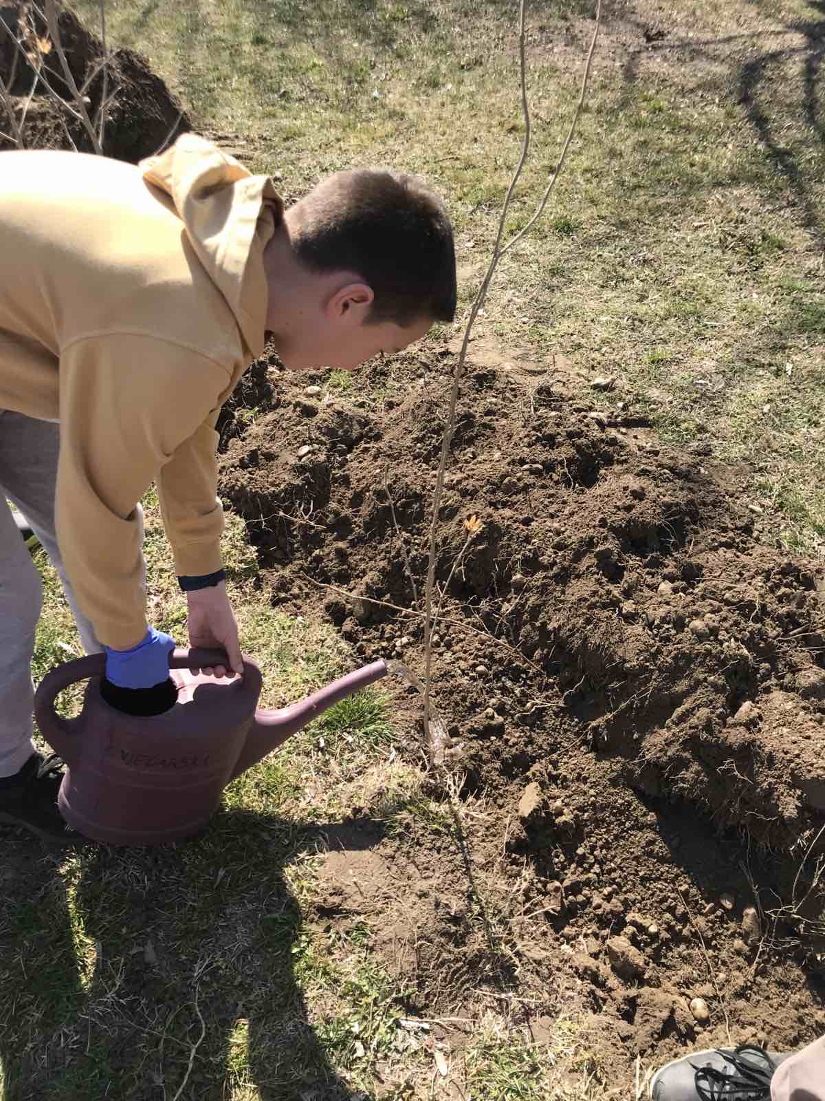 Učenici Osnovne škole Prelog sadili mlade sadnice hibiskusa