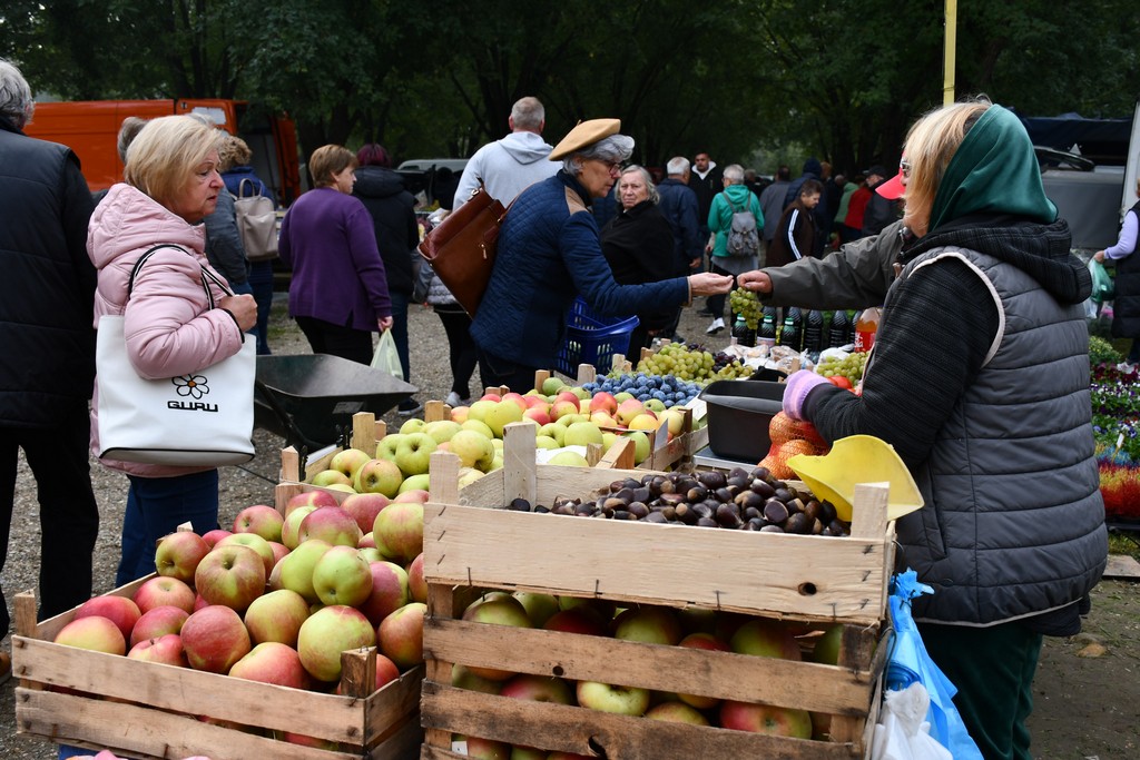 FOTO S dolaskom hladnijih dana povećan interes za kupnju drva za ogrjev