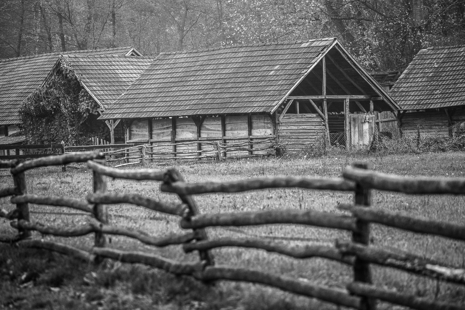 Međimurje se predalo jeseni