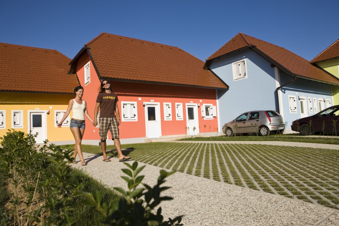 Image 5773885 (auto)