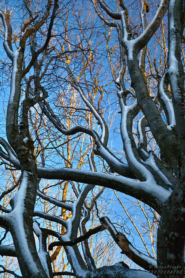 Zima i proljeće, Ivanščica