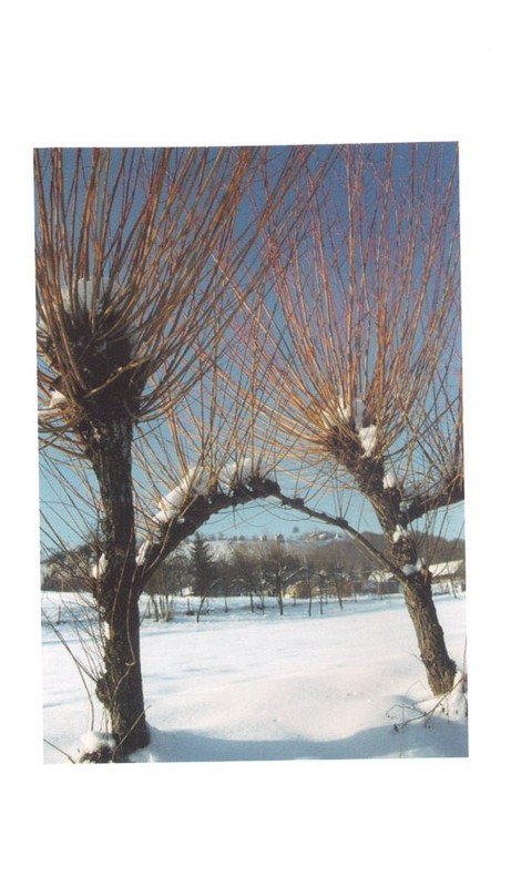 POVODOM BLAGDANA Prigodna prodaja čestitiki za Zakladu ‘Katruža’