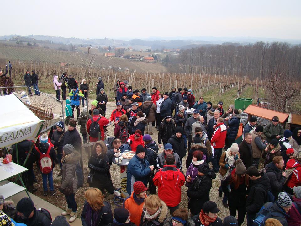 1263146080207842325477658919244