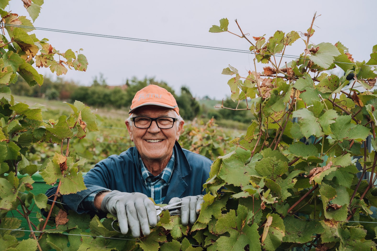 Image 5076610 (auto)