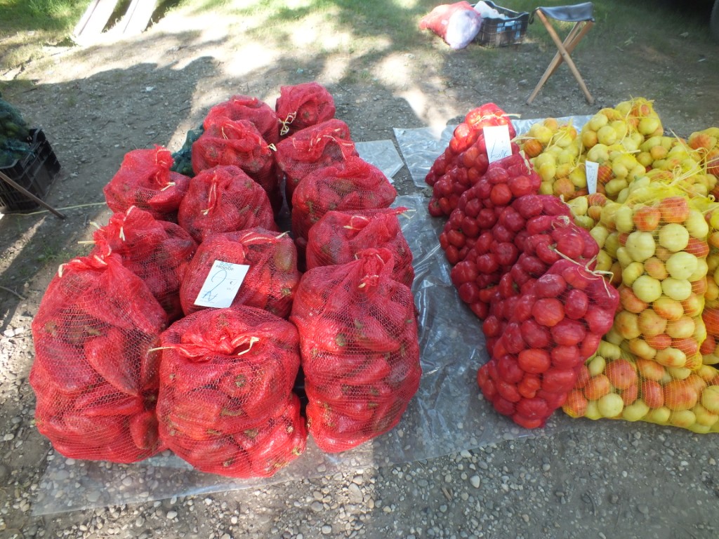 Image 5810937 (auto)