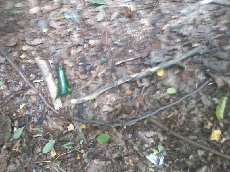 fotografija0025572391