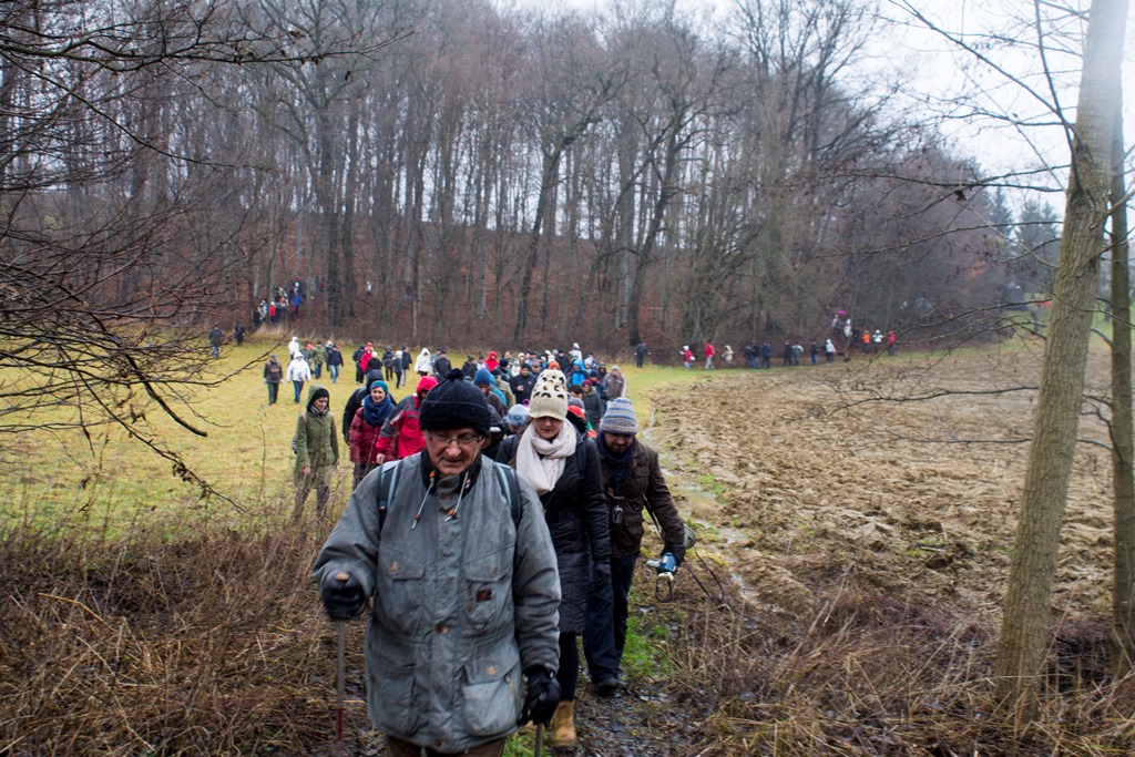 img8494vincekovo724567