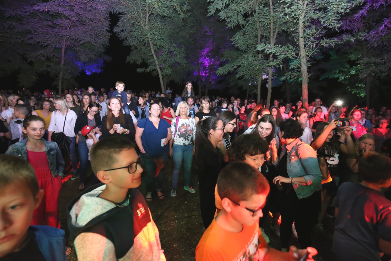 Odličan koncert Vatre u predivnom ambijentu Mađerkinog brega