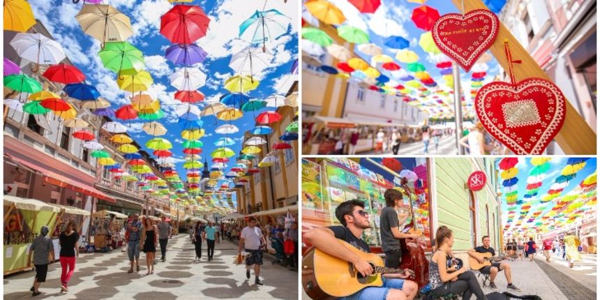 pjimage3107541 pjimage3107541