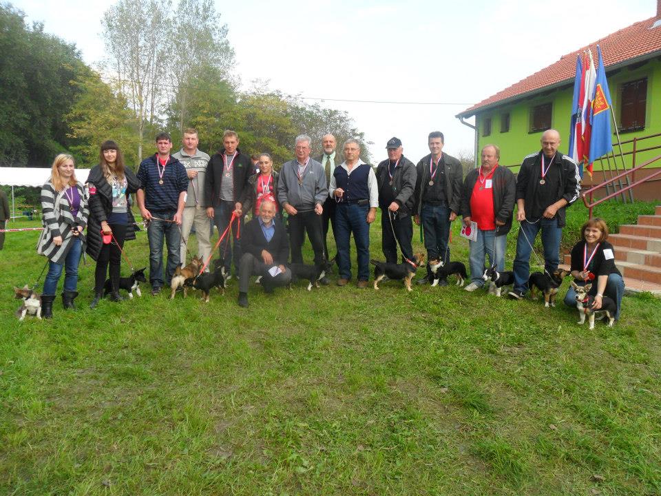 1062653832399958111661974453785