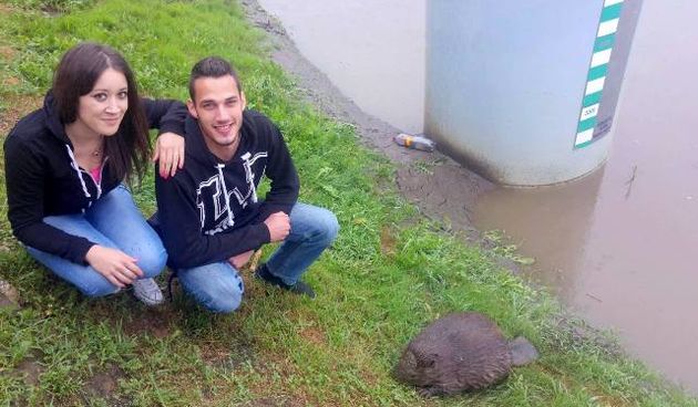 uvodna15464174 uvodna15464174