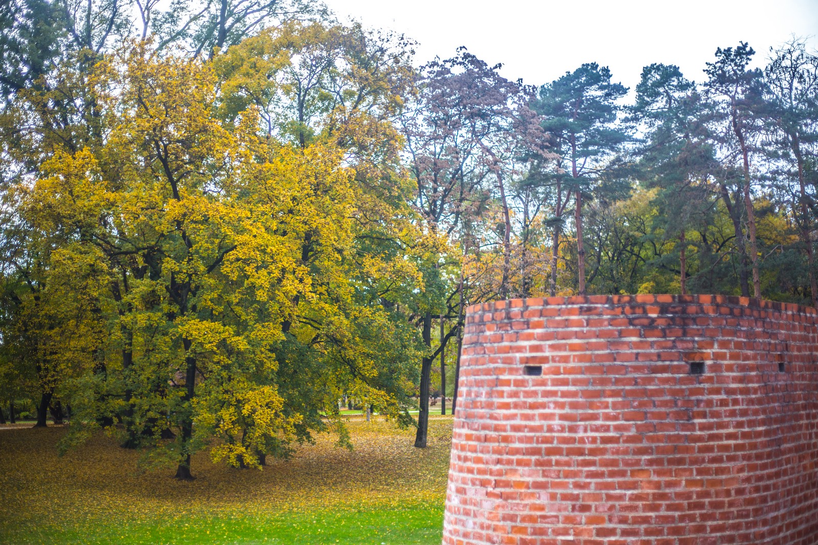 Čarobna jesen: Naša Miroslava Novak prošetala je čakovečkim parkom i snimila šarenilo jesenskih boja. Predivno, zar ne? (y) :-)