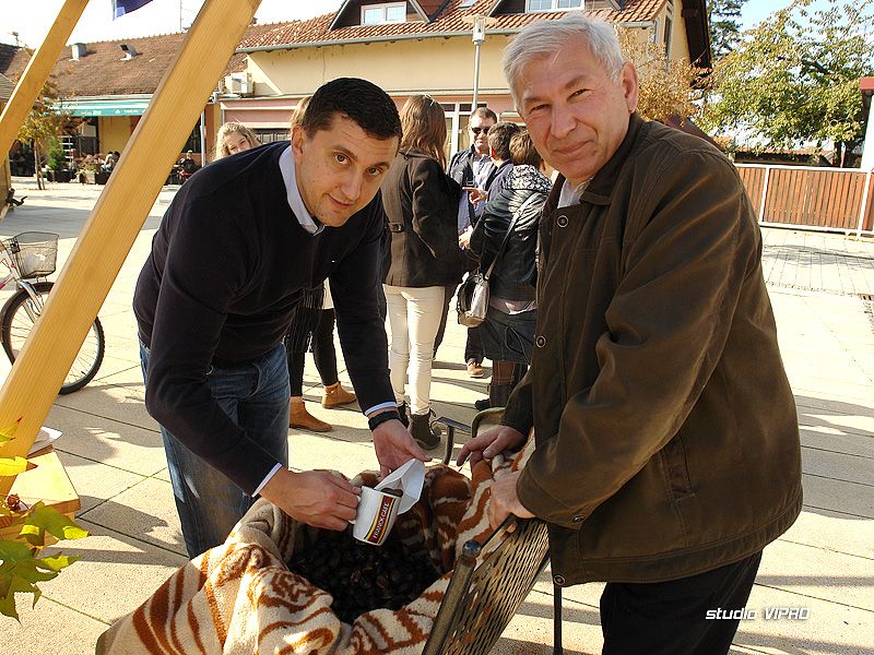 317713412dsc04268959528