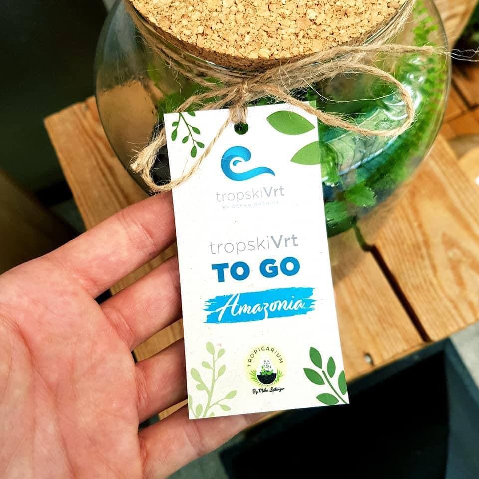 Image 5818435 (auto)