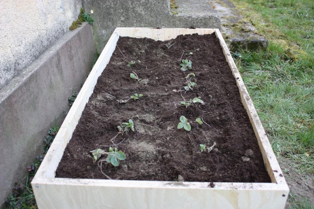 img4259resizekopija563626