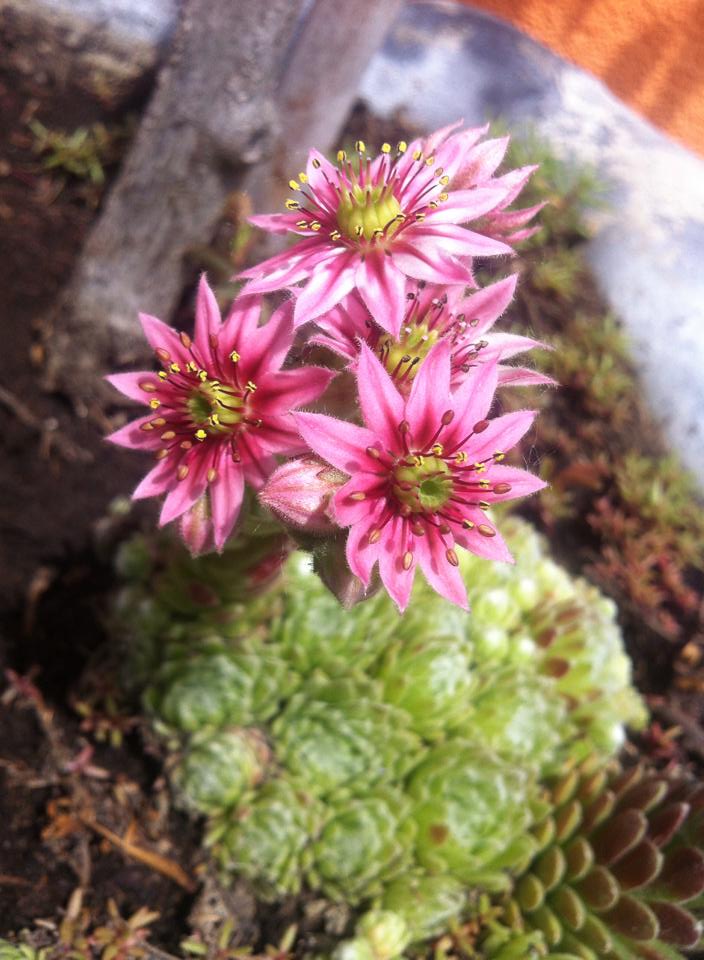 1982117869133549844389150288560