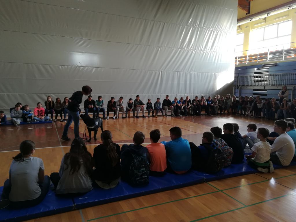 img20171018094613424232